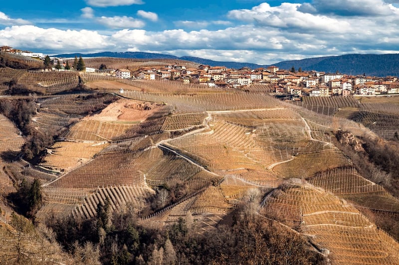 Outdoor Winery Venue